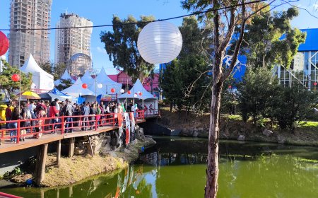 Festa Kasato Maru 2025: Celebre a Tradição Japonesa em Sorocaba