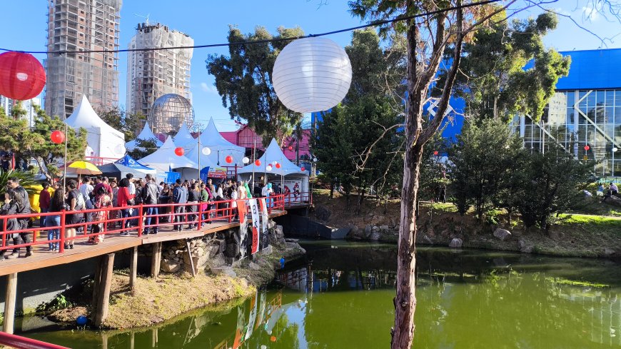 Festa Kasato Maru 2025: Celebre a Tradição Japonesa em Sorocaba