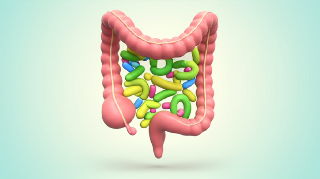 Ilustração colorida e estilizada de um intestino humano saudável, com bactérias benéficas representadas de forma vibrante, simbolizando equilíbrio e bem-estar digestivo.